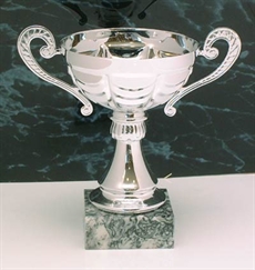 Cup Italy Silver