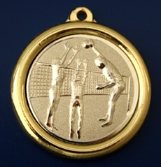 Medalj 3347 volleyboll 8