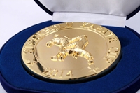 Medalj special karate medalj