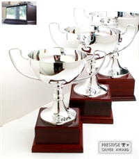 Prestige Silver Award - Roma, med silvergravyr på sockeln.